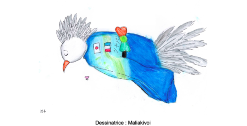 Impossible de lire la video